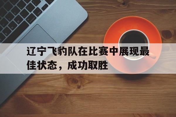 辽宁飞豹队在比赛中展现最佳状态，成功取胜